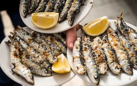 Loài cá được khen "tốt nhất thế giới": Chợ Việt bán chỉ 30.000đ/kg, quanh năm sẵn hàng