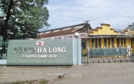 Tình hình kinh doanh gần đây của Công ty Đồ hộp Hạ Long
