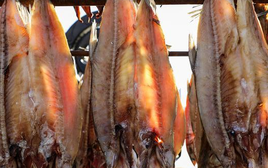 Ăn cá sai cách có thể "phá thận"? Bác sĩ cảnh báo: 3 loại này nên ăn ít