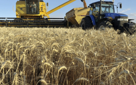 Hơn 700 nghìn tấn hàng từ Ukraine đổ bộ Việt Nam trong năm 2025, là mặt hàng nước ta gần như không trồng được