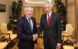 Gần 20 doanh nghiệp Singapore tề tựu, hiến kế cho Việt Nam