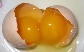 Trứng hai lòng đỏ hay trứng một lòng đỏ: Loại nào bổ hơn?