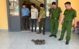 Một người dân bất ngờ phát hiện 8 cá thể quý hiếm bên đường