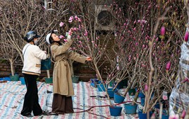 Dự báo thời tiết dịp nghỉ Tết Nguyên đán Bính Ngọ 2026