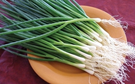 Ít người biết: Nhiều loại rau quen thuộc chứa “kháng sinh tự nhiên”, rất tốt cho sức khỏe khi trời lạnh