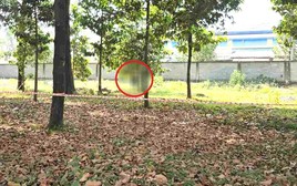 Người đàn ông tử vong treo lơ lửng trên cây tại khu công nghiệp