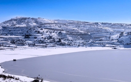 Phát hiện trữ lượng khoáng sản lớn, gần như “không cạn kiệt” trong 1 khu rừng rậm, đủ cung cấp năng lượng cho hàng triệu xe điện