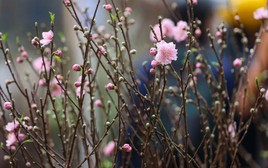 Lập xuân 2026 là ngày nào?