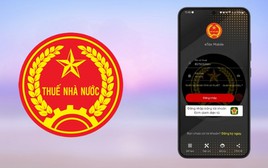 Cách tra cứu nợ thuế nhanh chóng, chính xác