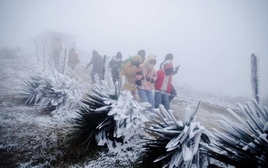 Miền Bắc đón đợt không khí lạnh cường độ mạnh, bỏ túi ngay 8 "thần dược" giữ ấm cơ thể cực tốt