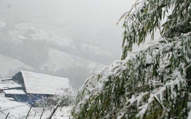 Miền Bắc đang trải qua đợt rét đậm nhất năm nay, đã có nơi -0,2 độ C: Bao giờ trời chuyển ấm?