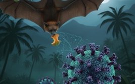 Những điểm khiến virus Nipah trở nên đặc biệt nguy hiểm