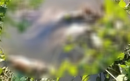 Nữ sinh Cà Mau bị sát hại: Cha mẹ đi làm xa, sống cùng ông ngoại