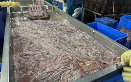 Phát hiện gần 60 tấn lòng lợn bốc mùi, đổi màu bên trong kho lạnh ở Hà Nội