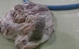 TPHCM kiểm tra 9 doanh nghiệp cung cấp nguyên liệu cho Sago Food