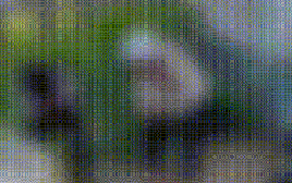 Đoạn clip 23 giây ở Cà Mau gây "bão" mạng xã hội