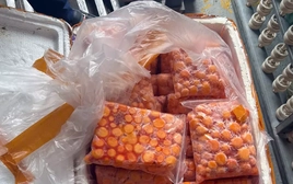 Hà Nội: Thu giữ hơn 12 tấn sụn gà, trứng non nghi nhập lậu