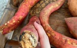 5 loại thực phẩm ngon bổ này sẽ hóa “thuốc độc” khi bị mốc, loại đầu tiên đang được bán với số lượng lớn: Nếu nhà bạn có, vứt bỏ ngay đi!