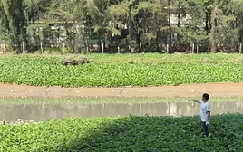 Phát hiện thi thể nam giới nổi trên rạch ở TPHCM