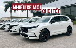Nhiều xe mới dễ đổ bộ Việt Nam trước Tết: Đa dạng sedan, MPV, SUV, bán tải, có cả lắp và nhập, chủ yếu trên dưới 1 tỷ đồng