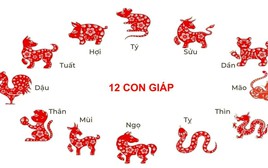 1 con giáp sắp chia tay với vận xui, 2 con giáp chuẩn bị bước vào thời kỳ hoàng kim, tài lộc rực rỡ