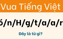 Chưa ai giải được câu đố này, kể cả 'vua tiếng Việt'