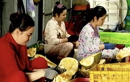 Nông dân Đồng Tháp khấm khá nhờ “biến” mít dạt thành đặc sản