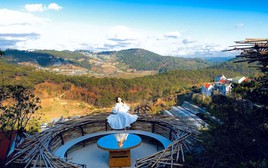 1 thành phố đang được tìm kiếm nhiều nhất mùa Tết năm nay: Sắp có lễ hội mai anh đào kéo dài tới 10 ngày