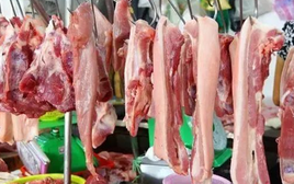 Chuyên gia chăn nuôi và thú y: 5 cách nhận biết thịt lợn ngon, khác xa lợn bệnh, lợn chết