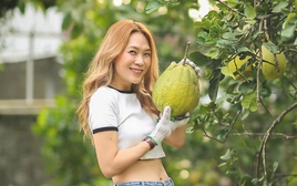 Thành quả không ngờ bên trong nhà vườn của Mỹ Tâm sau 4 năm