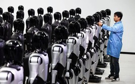 Bên trong công xưởng 10.000 m2, hàng trăm người Trung Quốc đang làm một việc mà cả thế giới không hiểu nổi