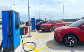 116.000 ô tô điện bán ra nửa đầu năm 2026 kéo thị trường Việt Nam tăng tốc