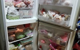 Lời khuyên cho những gia đình mua đồ sạch ở quê cấp đông tủ lạnh dùng dần
