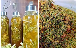 Hoa đu đủ đực ngâm mật ong có tác dụng gì?