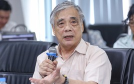 PGS.TS Trần Đình Thiên: Muốn tái thiết Vĩnh Hưng, trước hết phải làm điều này
