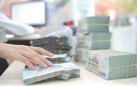 Chính phủ nêu lý do đề xuất phạt vi phạm hành chính đến 3 tỷ đồng
