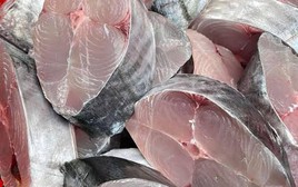 Nghiên cứu kéo dài 20 năm trên 90.000 người phát hiện: Ăn loại cá nào kéo dài tuổi thọ?