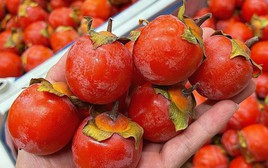 Mùa khô hanh nên ăn gì? 3 loại trái cây quen thuộc: Vừa ngon vừa giàu dưỡng chất
