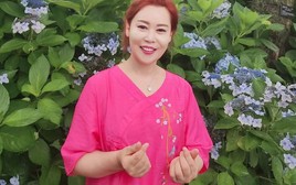 45 tuổi, tôi chợt nhận ra: Nếu ngày mai mất việc, tôi không biết mình sống bằng gì