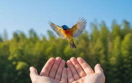 'Cứu vật vật trả ơn' nhưng không phải cứ làm là nhận phúc báo!