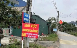 Hà Tĩnh tiêu hủy gần 1.000 gia cầm nhiễm cúm H5N1, siết chặt ngăn lây sang người