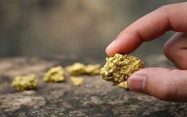 Phát hiện thêm 13.000 kg vàng trị giá 31.000 tỷ đồng bị bỏ ngoài hố