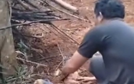 Xác định được người mẹ bỏ rơi con sơ sinh trong rẫy vắng