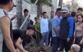 Dựng cây nêu đón Tết, 3 thanh niên bị điện giật phải nhập viện cấp cứu