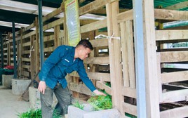 Sau cú trắng tay, chủ trang trại Hà Tĩnh xây 'kho bạc' giữa đồi hoang: Sở hữu 7 vạn gốc 'nhân sâm cho người nghèo' đang chờ bán