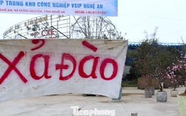 Quất sale đồng giá, đào xả kịch sàn vẫn vắng khách ngày 27 Tết