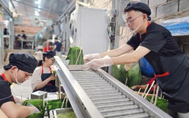 Bên trong xưởng bánh chưng làm bằng máy ở TP.HCM