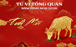 Tử vi tổng quan tuổi Mùi năm Bính Ngọ 2026: Sự nghiệp thăng hoa, tài lộc rực rỡ, tiền bạc rủng rỉnh