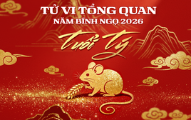 Tử vi tổng quan tuổi Tý năm Bính Ngọ 2026: Nhiều cát tinh hỗ trợ, bứt phá mạnh mẽ về tài lộc