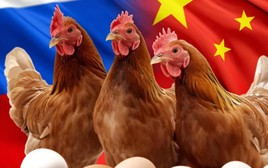 Chứng kiến hiện tượng chưa từng có với Trung Quốc, Nga đưa ra cảnh báo   